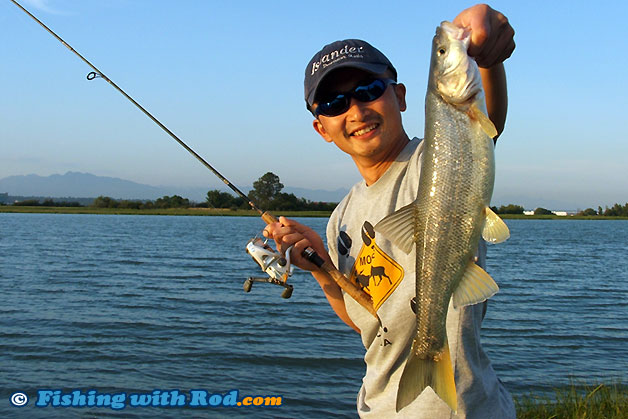 northern pikeminnow caught on a dough bait