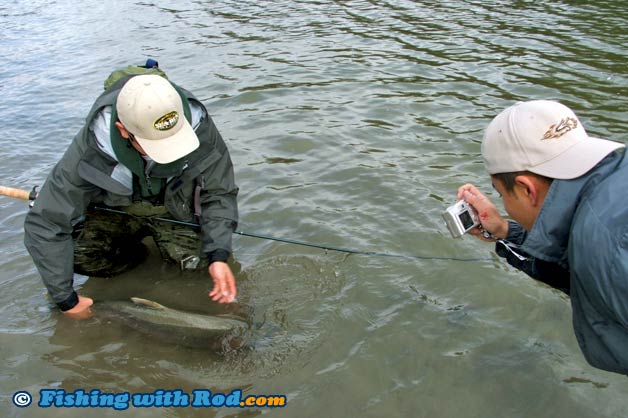 Keeping a salmon in the water before being photographed