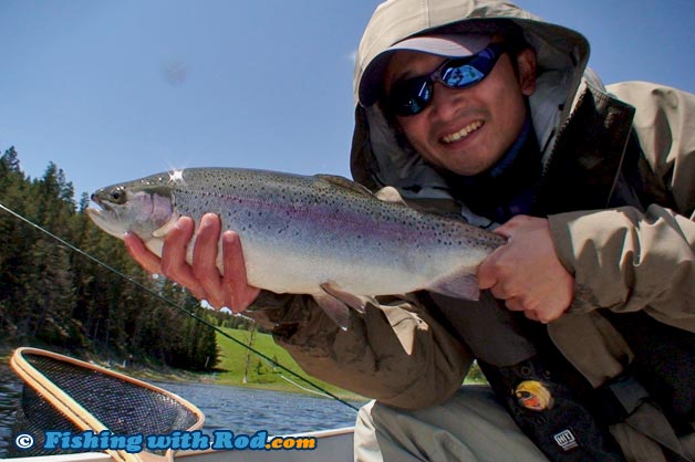 This fat rainbow trout was kept in the net until the camera was ready to capture the moment