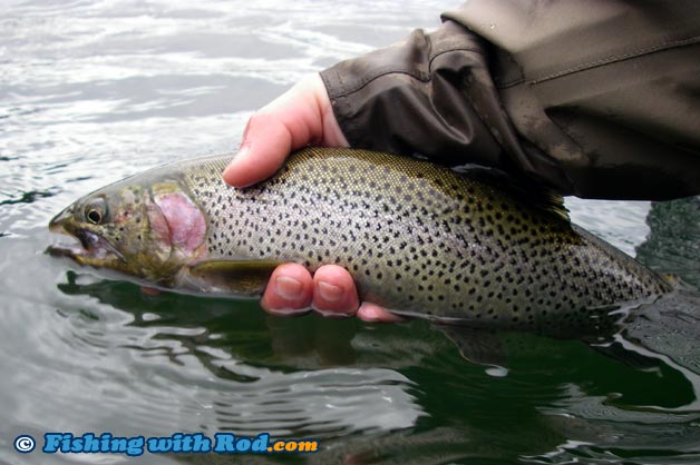 Vancouver Island lake cutthroat trout fishing