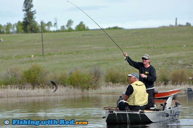 Salmon Lake Pennask Rainbow Trout in BC