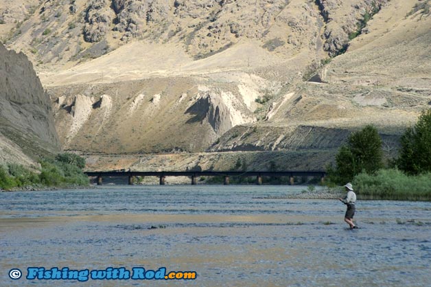 Thompson River fly fishing between Kamloops Lake and Spences Bridge