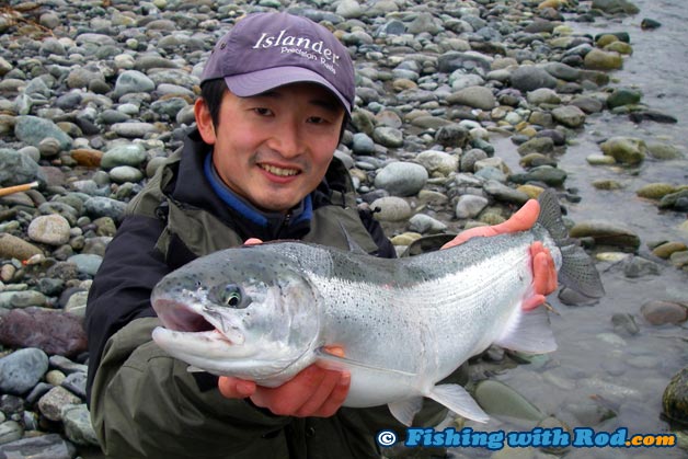 A hatchery winter steelhead from Chilliwack River