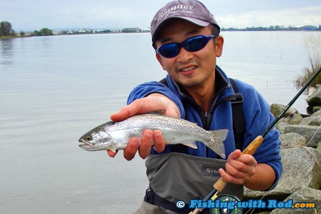 Coastal cutthroat trout from the Lower Mainland and Fraser Valley in BC