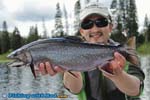 Trophy book trout