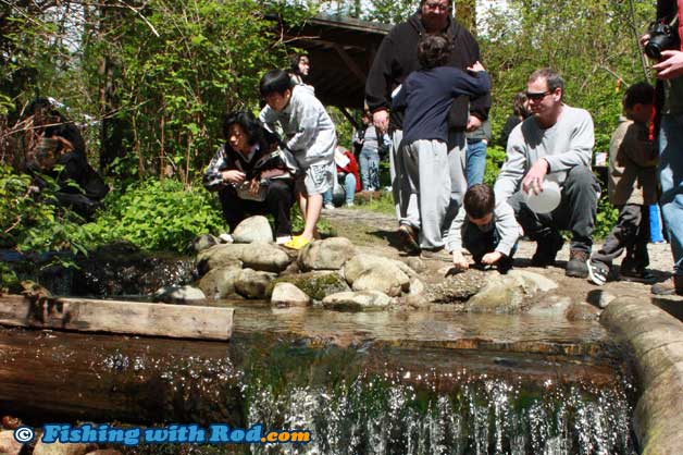 Fingerling Festival in Port Moody