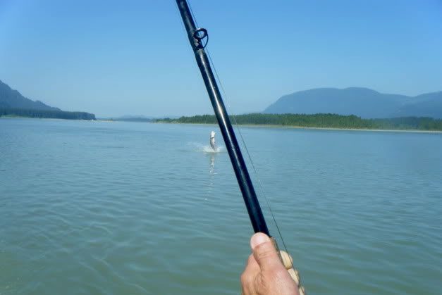 Fraser Valley sturgeon fishing