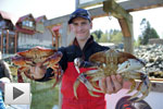 Crabbing in Vancouver