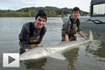 Epic Sturgeon Fishing Trip